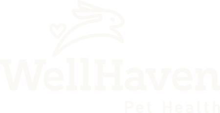 WellHaven logo