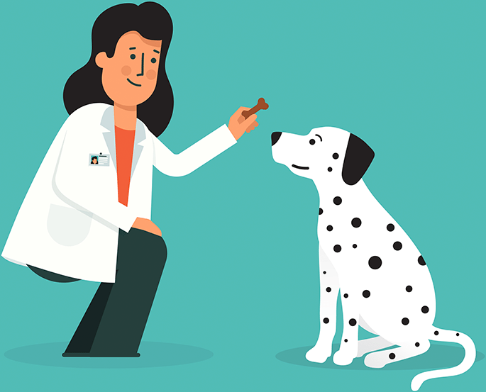 Graphic of WellHaven veterinarian giving dalmatian a treat